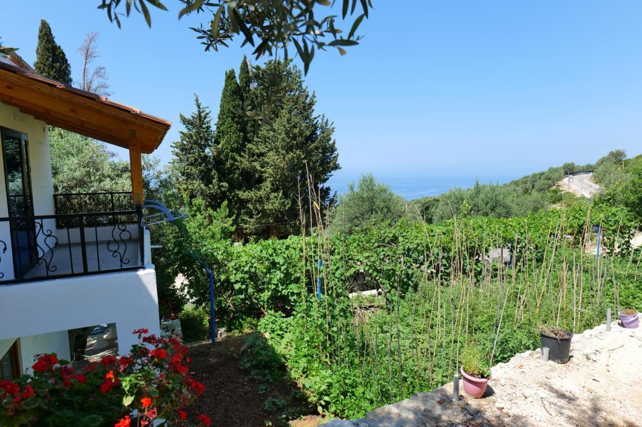 Vila Panorama Piqeras Bed & Breakfast Exterior foto