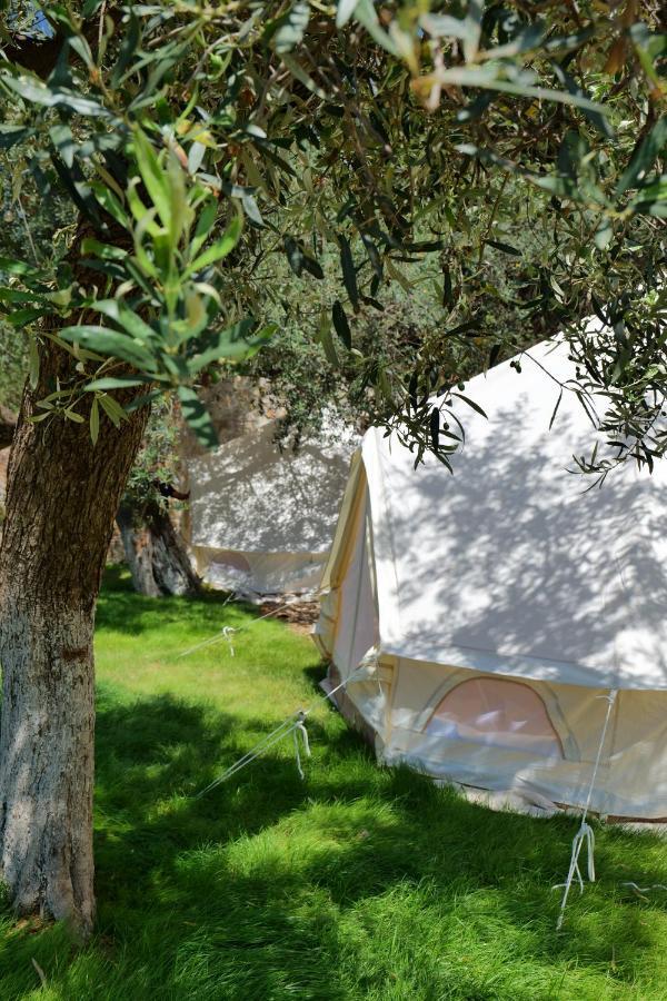 Vila Panorama Piqeras Bed & Breakfast Exterior foto