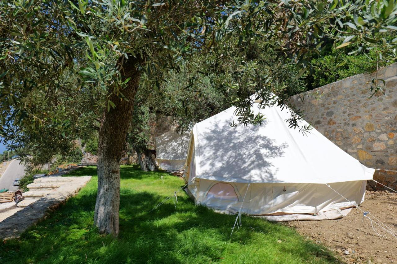 Vila Panorama Piqeras Bed & Breakfast Exterior foto