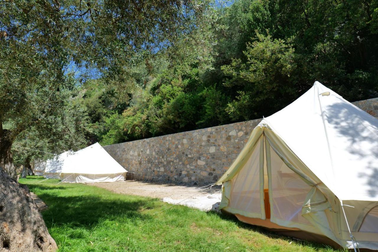Vila Panorama Piqeras Bed & Breakfast Exterior foto