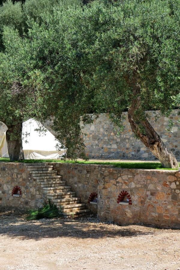 Vila Panorama Piqeras Bed & Breakfast Exterior foto
